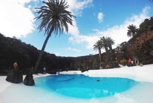 Lanzarote: Day Tour for Cruise Passengers