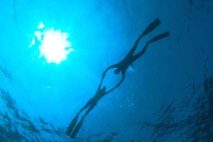 Lanzarote: Oppdagingskurs i fridykning på én dag