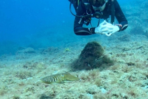 Lanzarote: Dykkerdåp i Puerto de Carmen 2 dykk