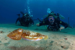 Lanzarote: Dykkerdåp i Puerto de Carmen 2 dykk