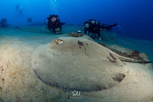 Lanzarote: Dykkerdåp i Puerto de Carmen 2 dykk