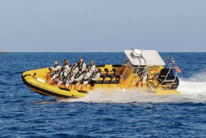 Lanzarote: Delfinobservasjoner med hurtigbåt