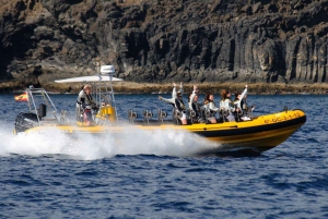 Lanzarote: Delfinobservasjoner med hurtigbåt