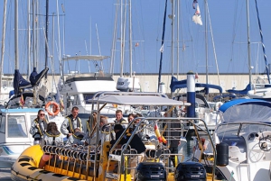 Lanzarote: Delfinobservasjoner med hurtigbåt