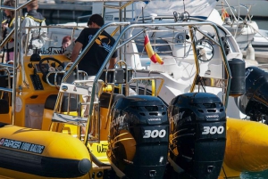 Lanzarote: Delfinobservasjoner med hurtigbåt