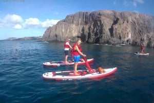 Lanzarote: Utflykt med elektrisk paddleboard och snorkling på Papagayo-stranden