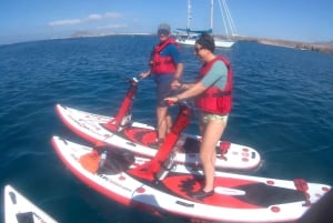 Lanzarote: Utflykt med elektrisk paddleboard och snorkling på Papagayo-stranden