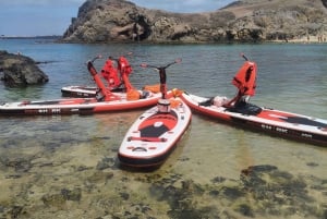 Lanzarote: Utflykt med elektrisk paddleboard och snorkling på Papagayo-stranden