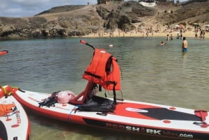 Lanzarote: Utflykt med elektrisk paddleboard och snorkling på Papagayo-stranden