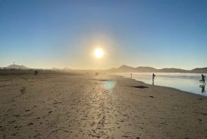 Lanzarote: Famara Beach Surfing Lesson for All Levels