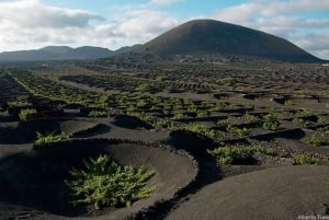 Lanzarote: Ganztagestour mit Bustour und Panoramablick