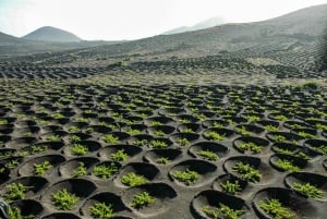 Lanzarote: Ganztagestour zu den Highlights der Insel