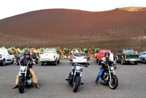 Lanzarote: geführte Motorradtour auf einer Harley-Davidson
