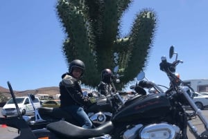 Lanzarote: geführte Motorradtour auf einer Harley-Davidson