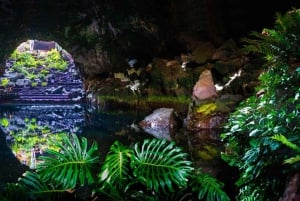 Lanzarote: Gröna grottor, Jameos del Agua och Mirador-tur