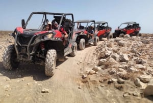 Lanzarote: Can-Am Trail Buggy Tour met gids