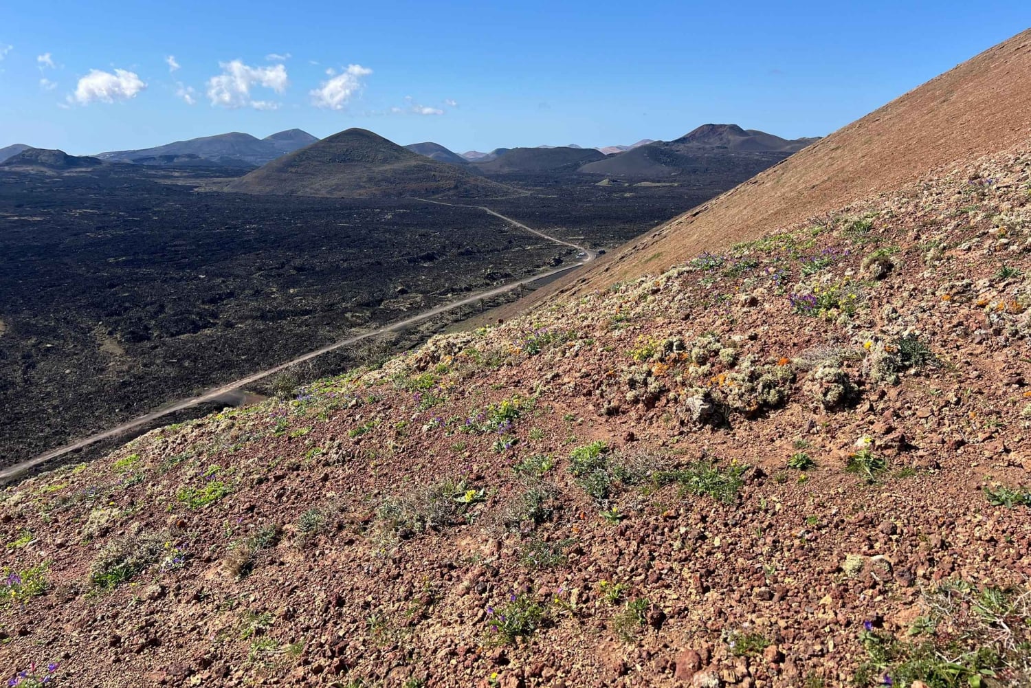 Lanzarote: Guidet fottur – oppdag vulkanhistorie og kultur