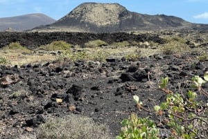 Lanzarote: Guidet fottur – oppdag vulkanhistorie og kultur