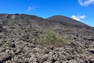 Lanzarote: Guidet fottur – oppdag vulkanhistorie og kultur