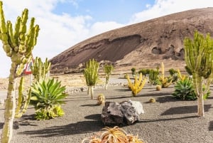 Lanzarote: Guided Off-Road Volcano Buggy Tour