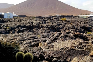 Lanzarote Highlight Tour