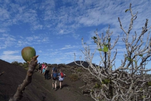 Lanzarote: Wędrówka przez wulkaniczne krajobrazy Timanfaya