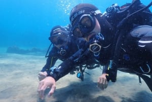 Lanzarote: Experiência de introdução ao mergulho para iniciantes