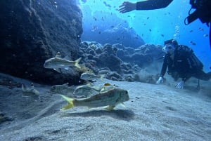 Lanzarote: Experiência de introdução ao mergulho para iniciantes