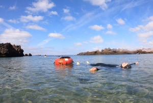 Lanzarote: Introduktion til fridykning