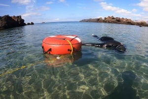 Lanzarote: Introduktion til fridykning