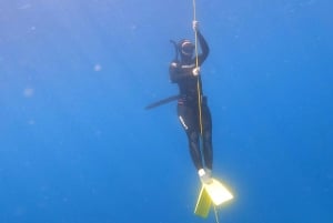 Lanzarote: Introduktion til fridykning