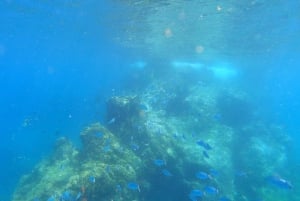 Lanzarote: Introduktion til fridykning