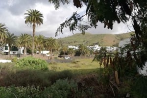 Lanzarote: Jameos del Agua & North Island for Cruise Guests