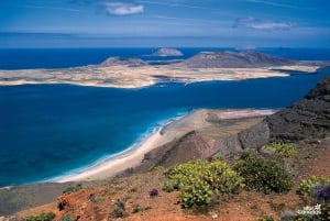 Lanzarote: Jameos del Agua & North Island for Cruise Guests