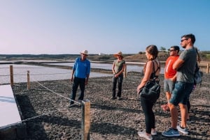 Lanzarote: Janubio Salt Flats guidet tur