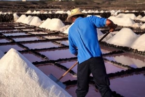 Lanzarote: Janubio Salt Flats guidet tur