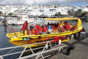 Lanzarote: Lobos Island Halvdagsutflykt med delfinskådning