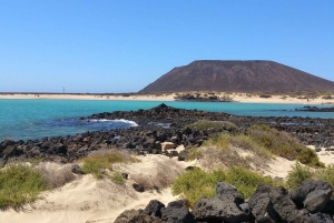 Lanzarote: Lobos Island Halvdagsutflykt med delfinskådning