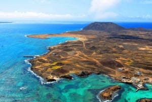 Lanzarote: Lobos Island Halvdagsutflykt med delfinskådning