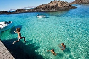 Lanzarote: Lobos Island Halvdagsutflykt med delfinskådning