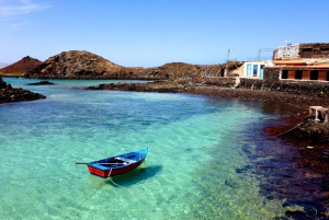 Lanzarote: Lobos Island Halvdagsutflykt med delfinskådning