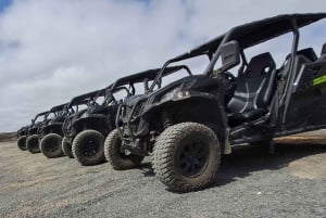 Lanzarote: Mix tour Guided Buggy Volcano Tour 4 seater