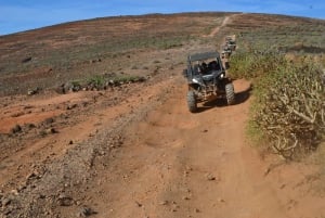 Lanzarote: Mix tour Guided Buggy Volcano Tour 4 seater