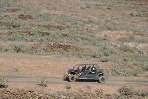 Lanzarote: Mix tour Guided Buggy Volcano Tour 4 seater