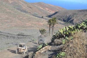 Lanzarote: Mix tour Guided Buggy Volcano Tour 4 seater