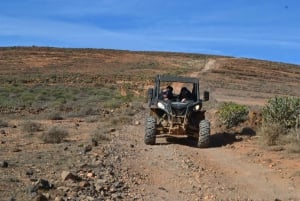 Lanzarote: Mix tour Guided Buggy Volcano Tour 4 seater