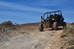 Lanzarote: Mix tour Guided Buggy Volcano Tour 4 seater