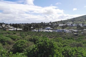 Lanzarote: Northern Cliffs & Valleys Walking tour