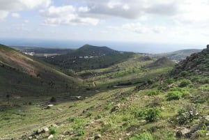 Lanzarote: Northern Cliffs & Valleys Walking tour