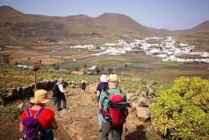 Lanzarote: Northern Cliffs & Valleys Walking tour